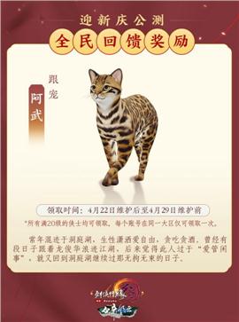 主题天龙八部私服